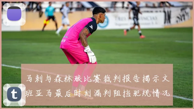 马刺与森林狼比赛裁判报告揭示文班亚马最后时刻漏判阻挡犯规情况